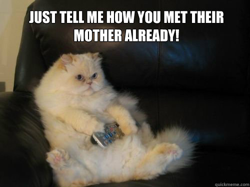 just tell me how you met their mother already - Disapproving TV Cat