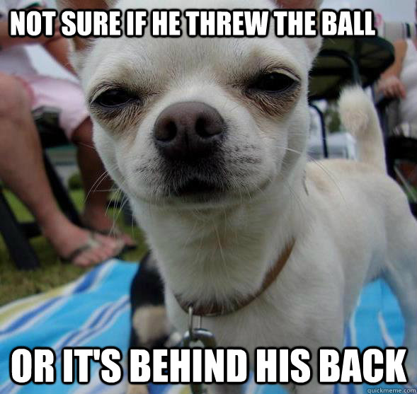 not sure if he threw the ball or its behind his back - Futurama Fry Dog