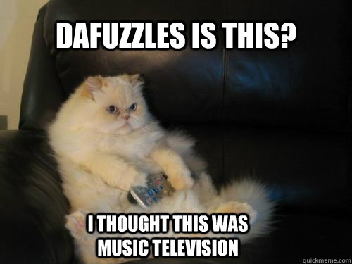 dafuzzles is this i thought this was music television - Disapproving TV Cat