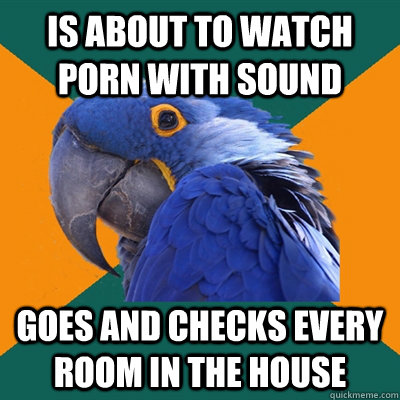 is about to watch porn with sound goes and checks every room - Paranoid Parrot