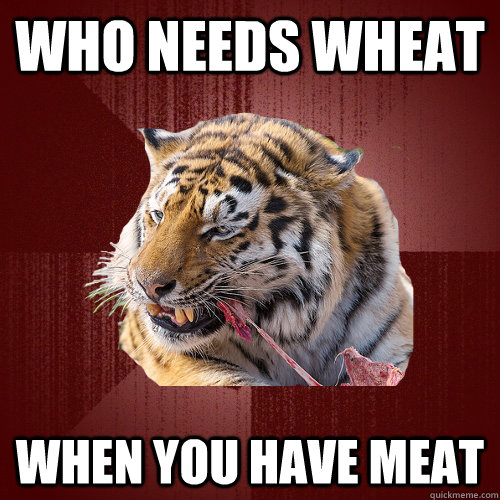 who needs wheat when you have meat - Keto Tiger