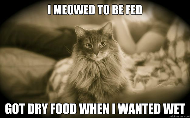 i meowed to be fed got dry food when i wanted wet - First World Issues