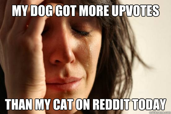 my dog got more upvotes than my cat on reddit today - First World Problems