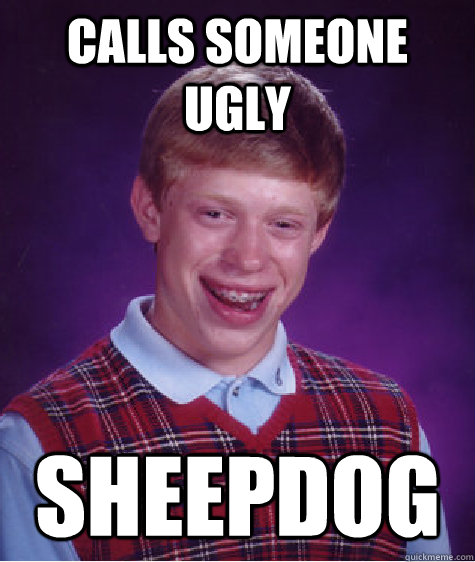 Ugly Sheep Dog