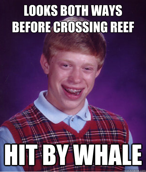 looks both ways before crossing reef hit by whale - Bad Luck Brian