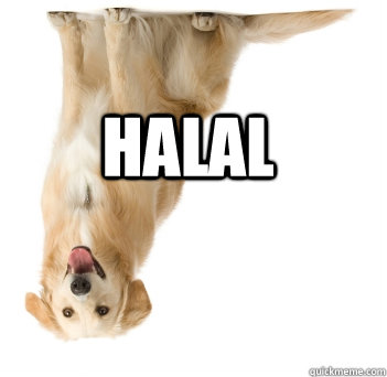 halal - Halal Dog