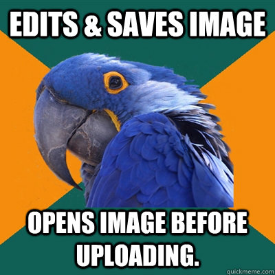 edits saves image opens image before uploading - Paranoid Parrot