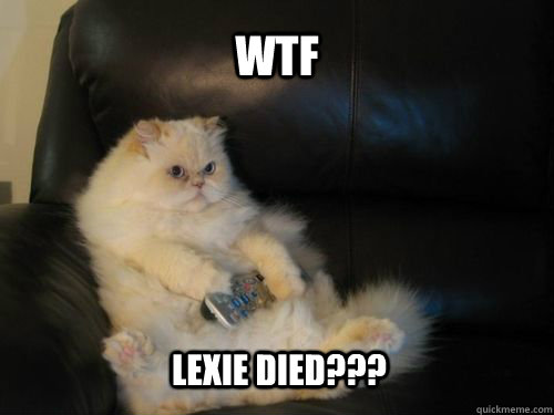 wtf lexie died - Disapproving TV Cat