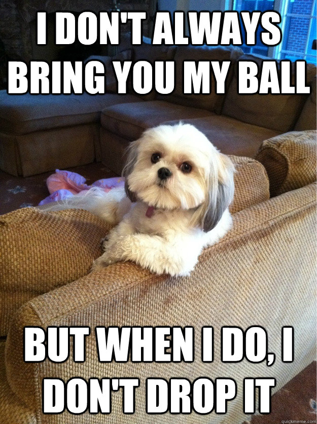i dont always bring you my ball but when i do i dont drop - The most interesting Dog in the world