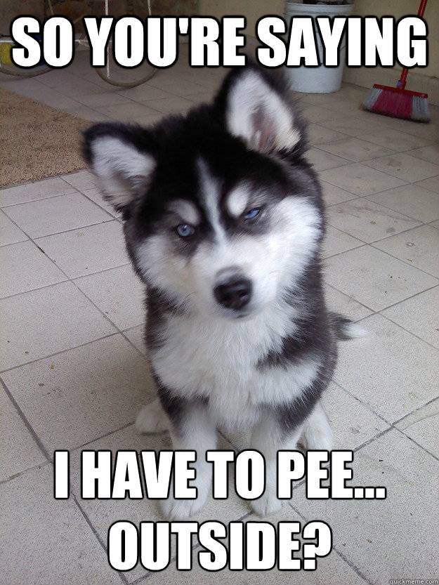 so youre saying i have to pee outside -