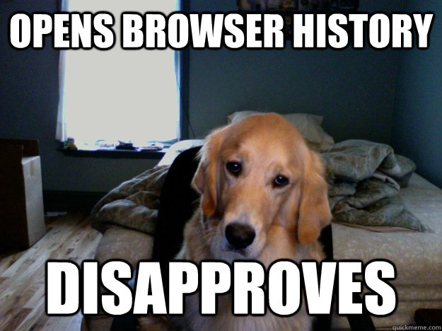 opens browser history disapproves - Dissapproval Dog