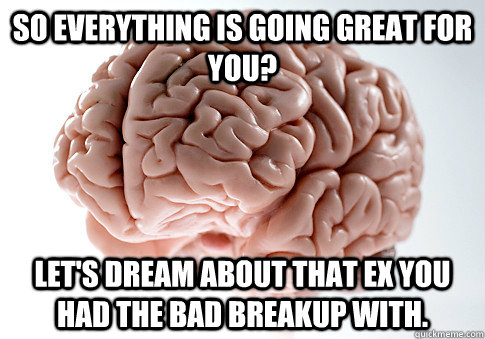 so everything is going great for you lets dream about that - Scumbag Brain