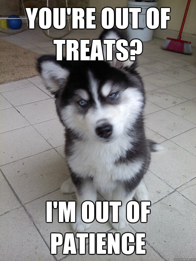 youre out of treats im out of patience -