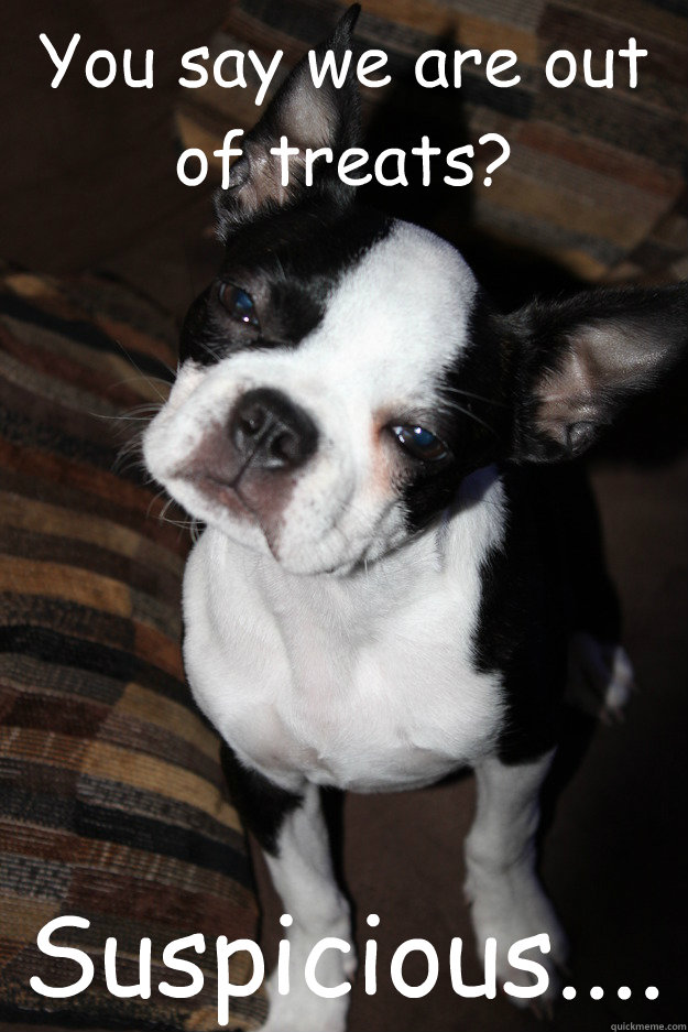 you say we are out of treats suspicious - Suspicious