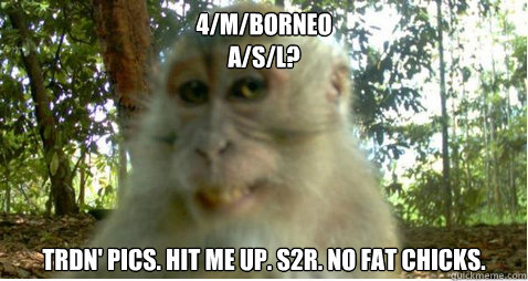 4mborneo asl trdn pics hit me up s2r no fat chicks - Suave Internet Monkey