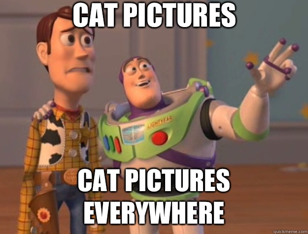 Cat pictures Cat pictures everywhere - Toy Story