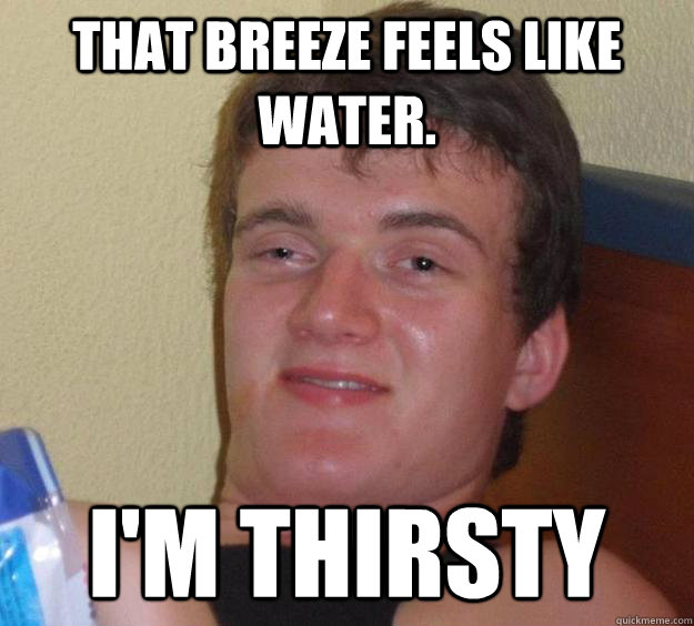 that breeze feels like water im thirsty - 10 Guy