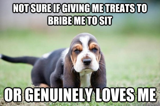 not sure if giving me treats to bribe me to sit or genuinely -