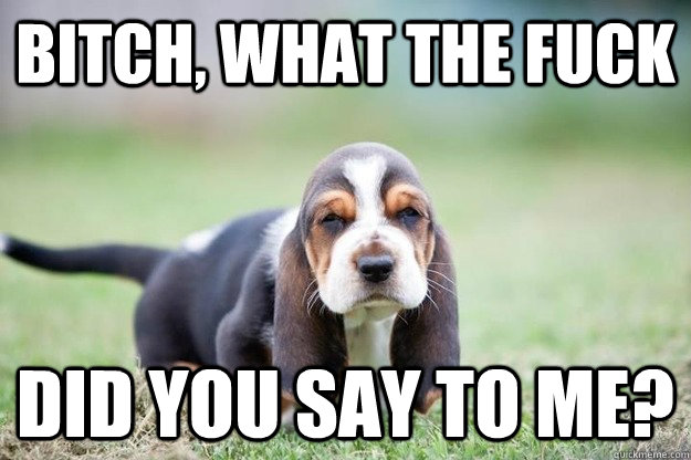 bitch what the fuck did you say to me -