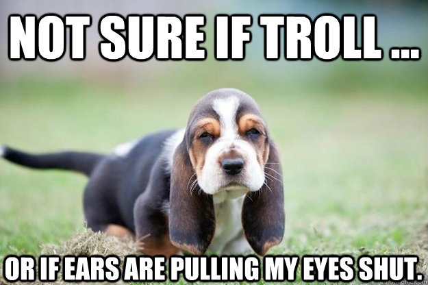 not sure if troll or if ears are pulling my eyes shut - wienertroll