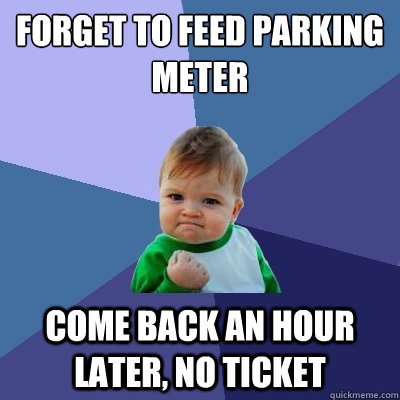 forget to feed parking meter come back an hour later no tic - Success Kid