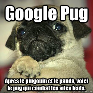 google pug apres le pingouin et le panda voici le pug qui c - SMUG PUG