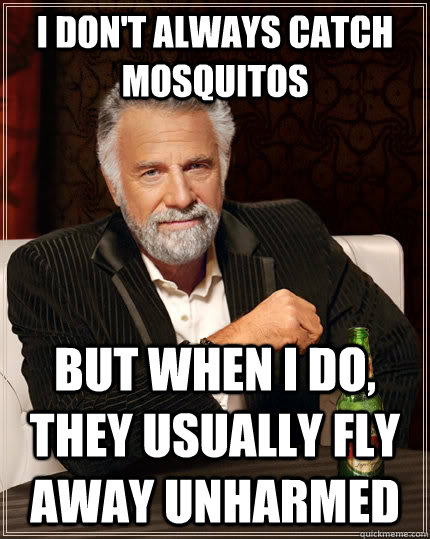 i dont always catch mosquitos but when i do they usually f - The Most Interesting Man In The World