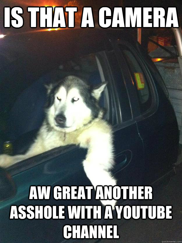is that a camera aw great another asshole with a youtube cha - Mean Dog
