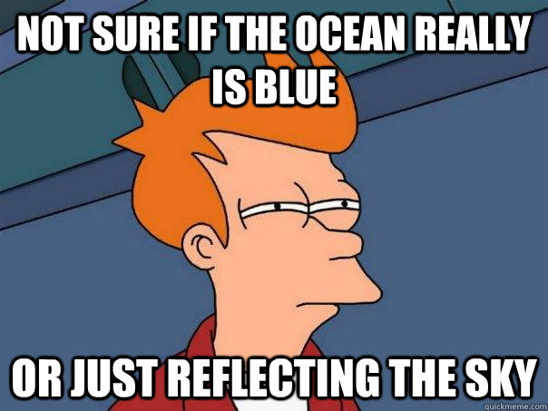 not sure if the ocean really is blue or just reflecting the  - Futurama Fry