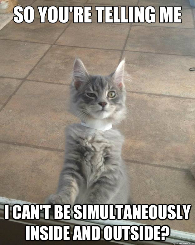 so youre telling me i cant be simultaneously inside and ou - Skeptical Kitten-