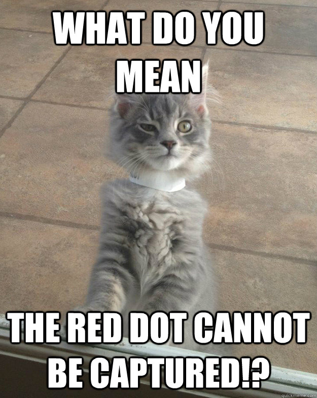 what do you mean the red dot cannot be captured - skeptical cat
