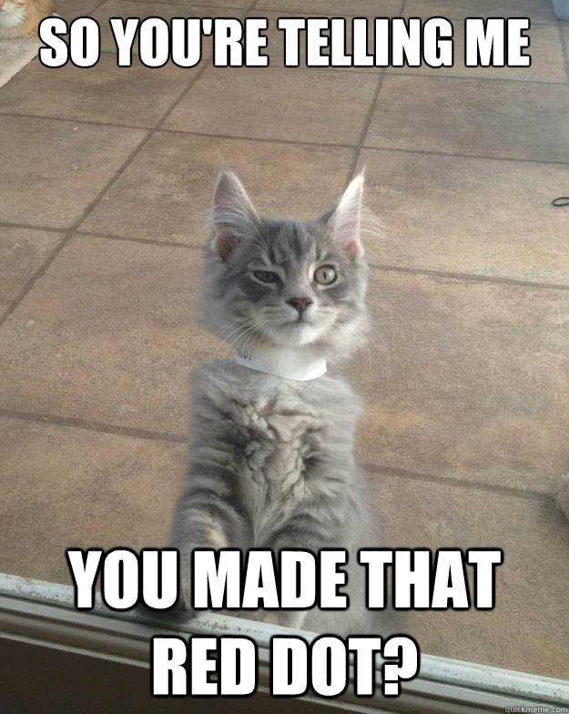 so youre telling me you made that red dot - Skeptical Kitten-
