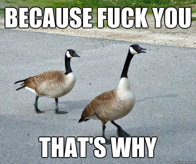 because fuck you thats why -
