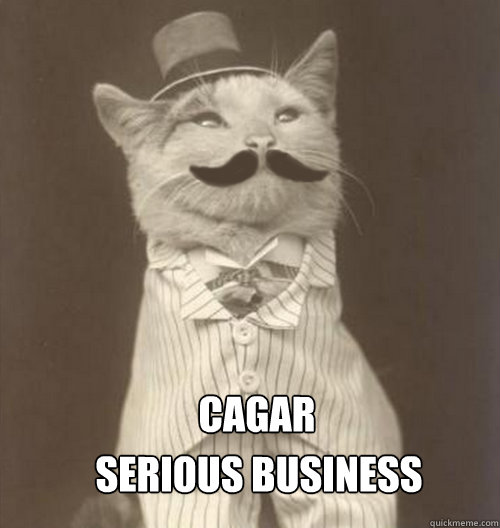 Serious Business Cat