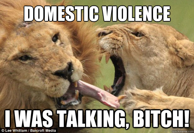 domestic violence i was talking bitch - Aggressive Females
