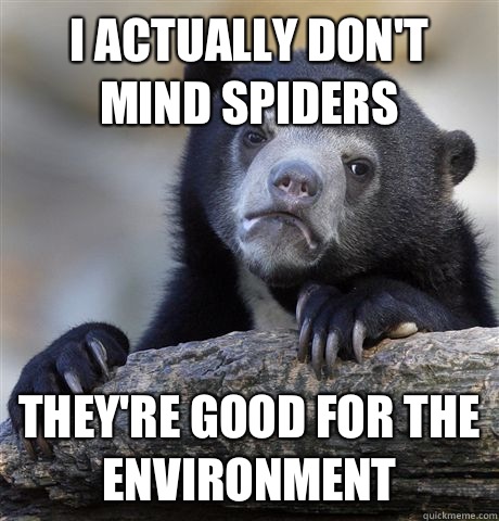I actually dont mind spiders Theyre good for the environment - Confession Bear