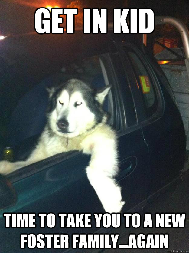get in kid time to take you to a new foster familyagain - Mean Dog