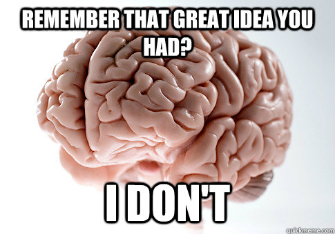 remember that great idea you had i dont - Scumbag Brain