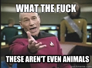 what the fuck these arent even animals - Annoyed Picard