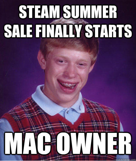 steam summer sale finally starts mac owner - Bad Luck Brian