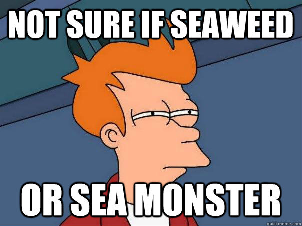 not sure if seaweed or sea monster - Futurama Fry