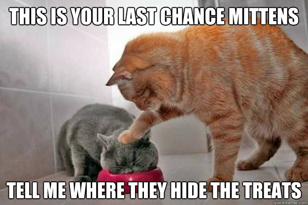 this is your last chance mittens tell me where they hide the -