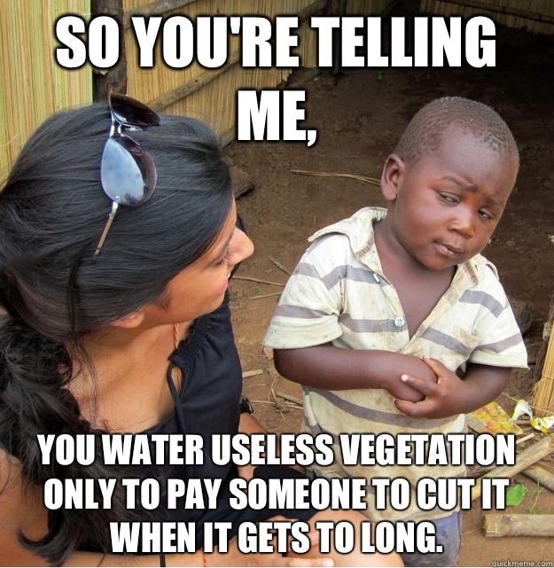 So youre telling me You water useless vegetation only to pay - Skeptical Third World Kid