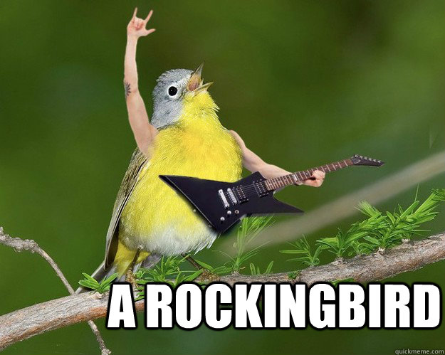 a rockingbird - pun
