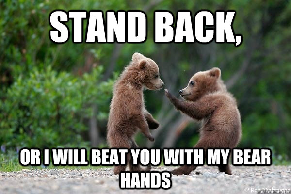 stand back or i will beat you with my bear hands - Karate Bear