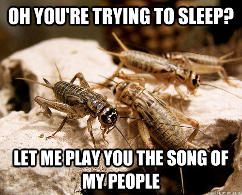 oh youre trying to sleep let me play you the song of my pe -