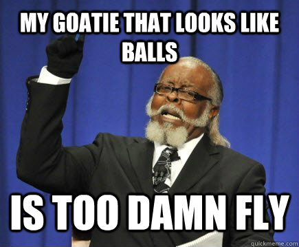 my goatie that looks like balls is too damn fly - Too Damn High