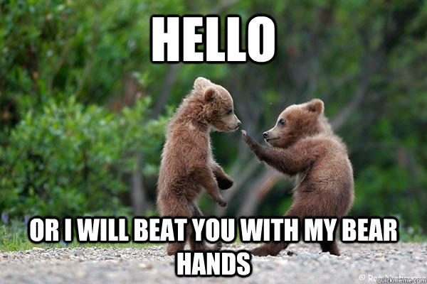 hello or i will beat you with my bear hands - Karate Bear