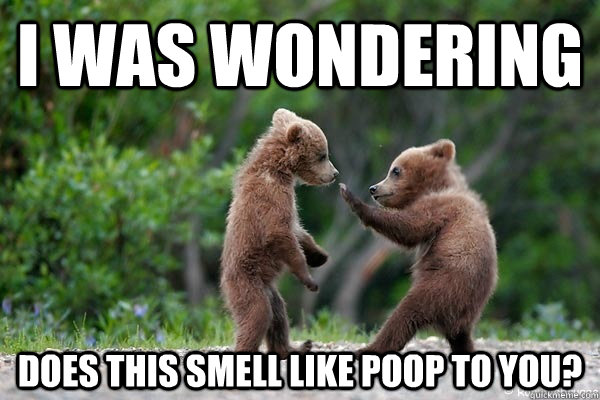 i was wondering does this smell like poop to you - Karate Bear