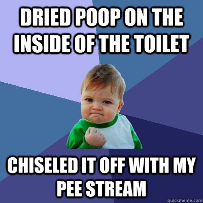 dried poop on the inside of the toilet chiseled it off with - Success Kid